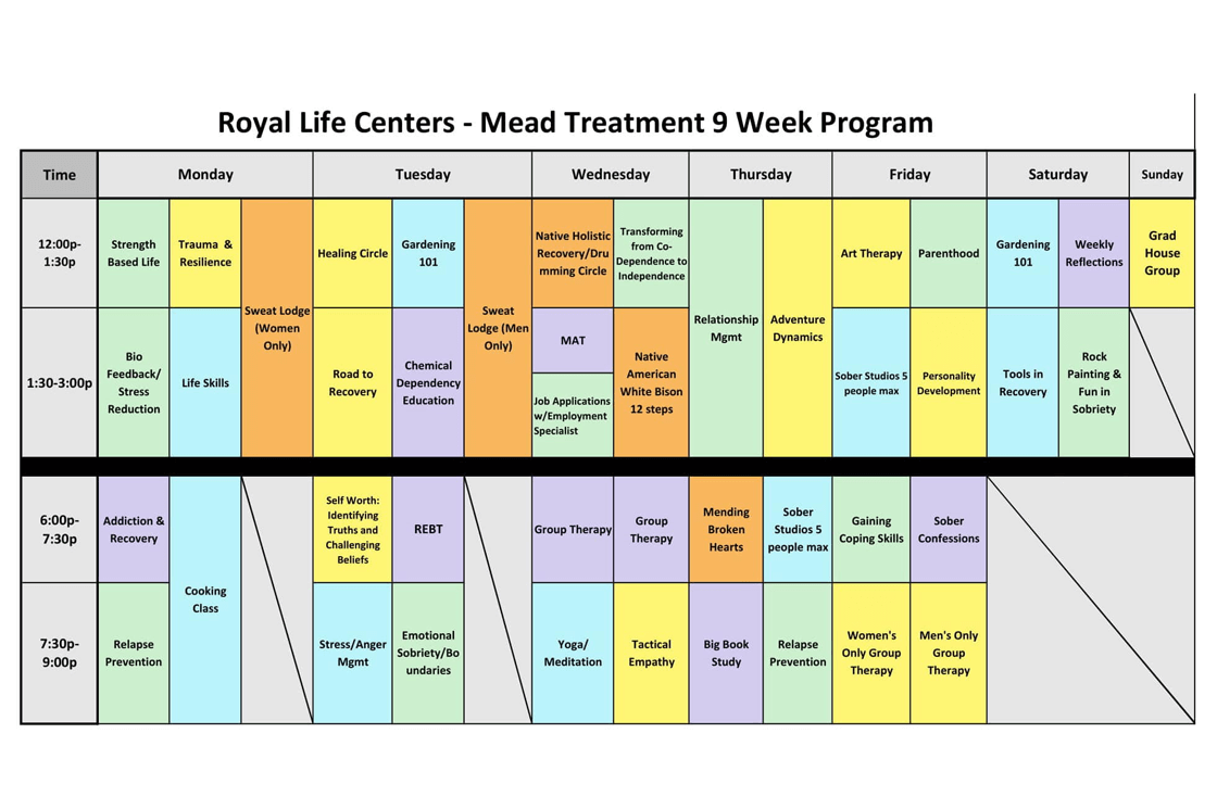 Mead Treatment 9 Week Program