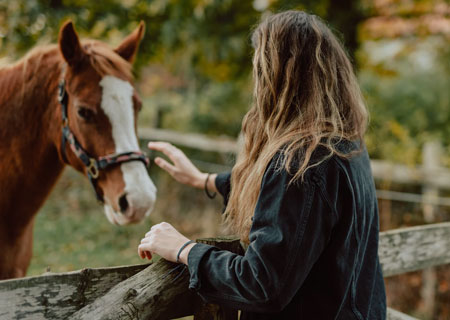 equine therapy - therapy with horses