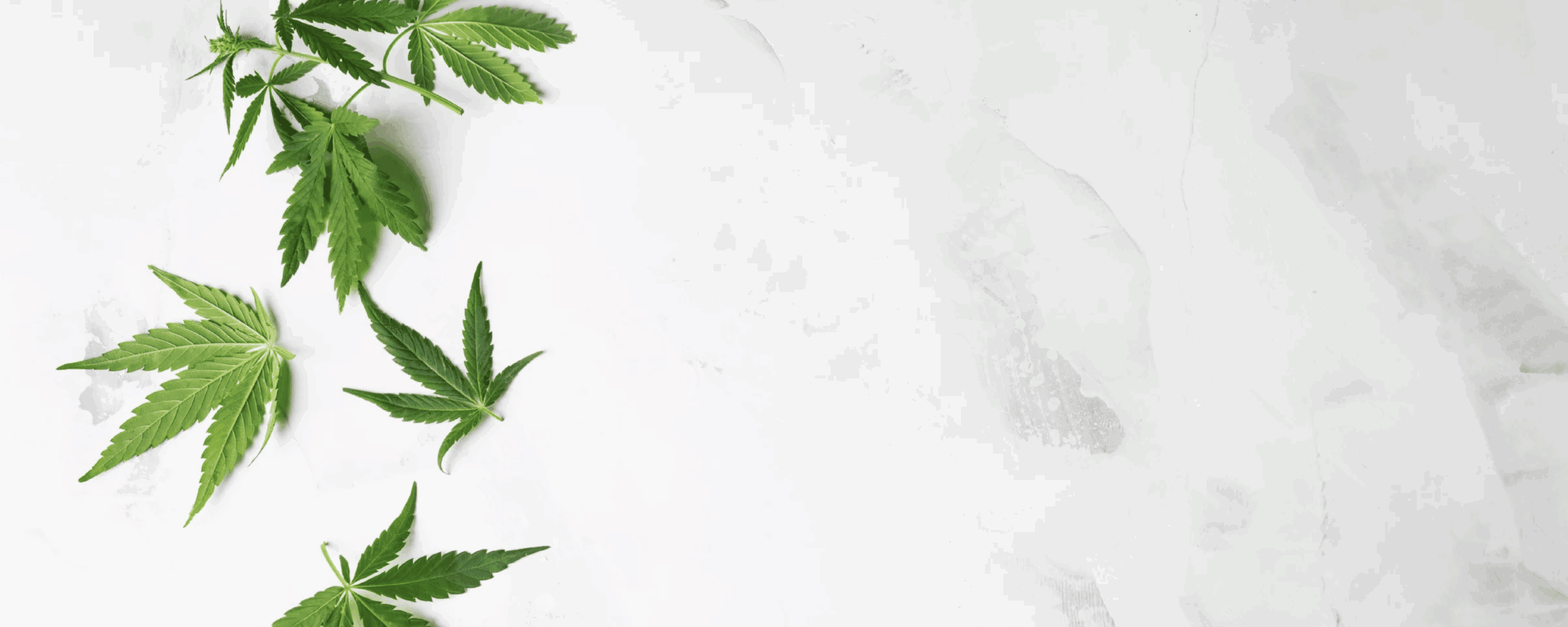 Finding Marijuana Addiction Treatment Near Me