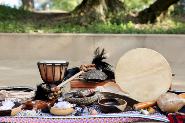 healing plants, native healing plants