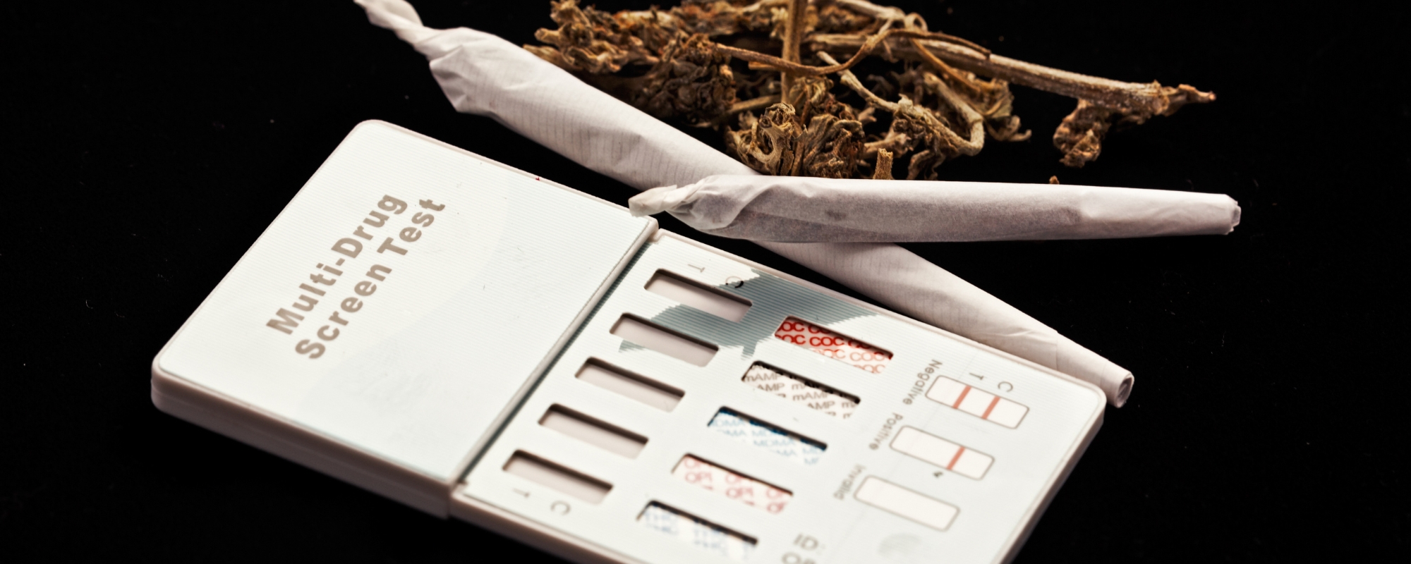 Testing Illicit Drugs, Drugs at Music Festivals